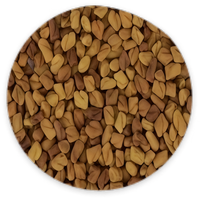 Fenugreek